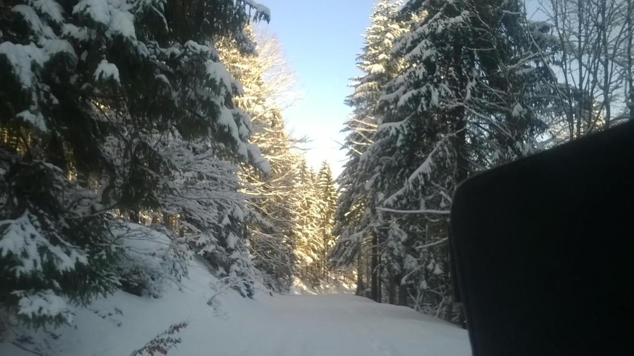 Chata Goralska Wojtasowka Kamesznica Екстериор снимка